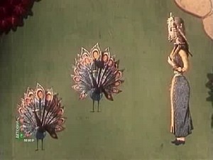 ����� ���������� �� ����� �������